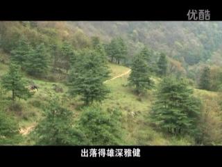 徐老师来巡山系列_亚索详细教学_怎么自动接