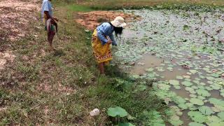 柬埔寨美女网鱼不过瘾!直接跳下去捕鱼摸鱼收