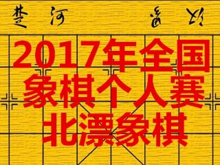 2017全国象棋个人赛8进4第二盘王天一胜崔革