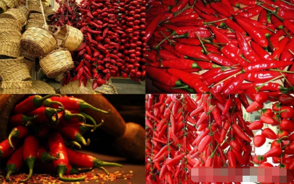 这辣椒是辣椒界的“爱马仕”，一斤20万元，网友：有钱难买！