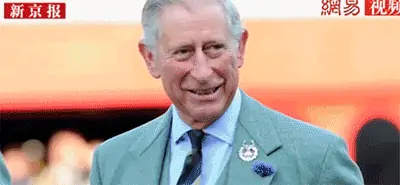 英媒：英国王储查尔斯王子新冠病毒检测呈阳性