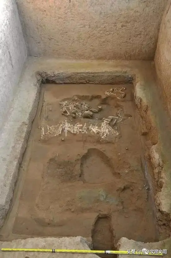 秦始皇陵墓葬又有重大发现！“金骆驼”现世 秦盾首现身