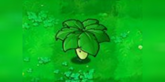 游戏解说植物大战僵尸屋顶第七天萝卜伞